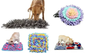 Read more about the article 5 Best Snuffle Mats for Dogs