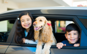 Read more about the article What to Pack for a Road Trip with Your Dog: 1 Essentials Checklist